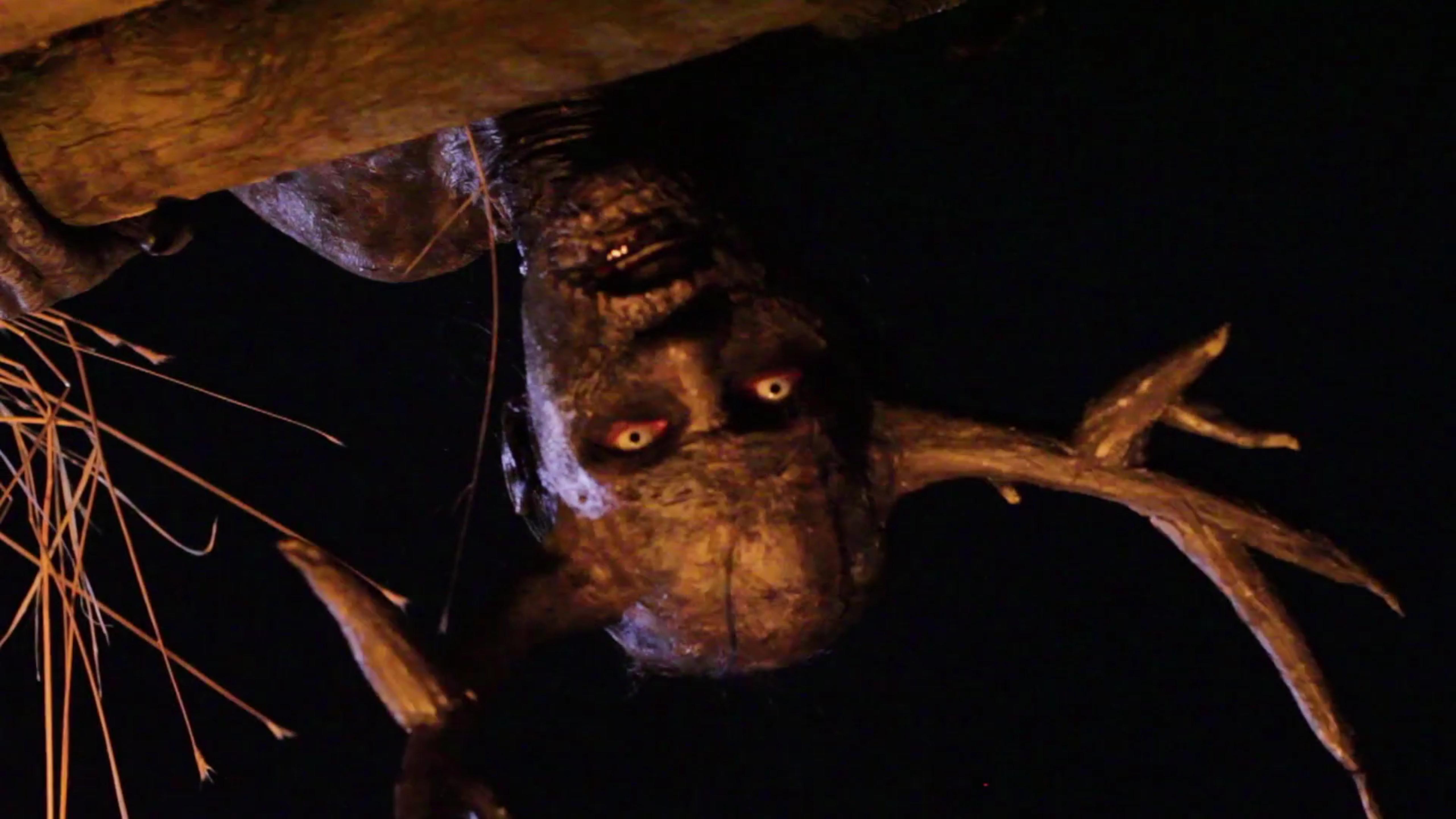 The Tailypo: A Folktale